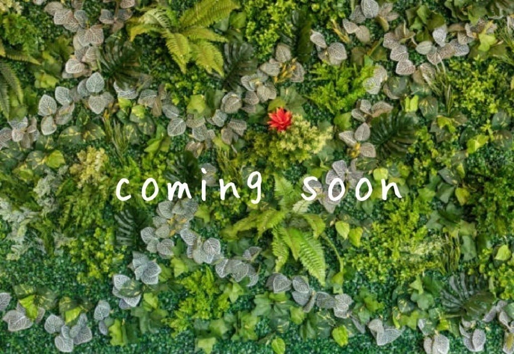 coming soon