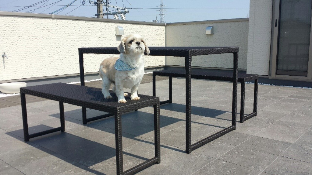 施工後