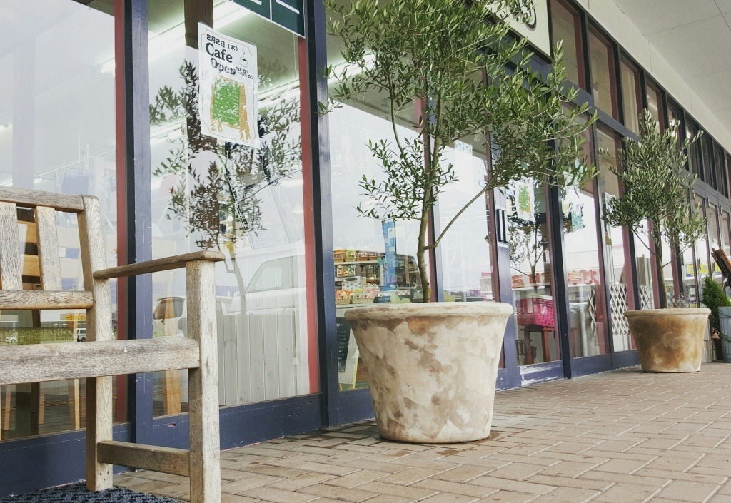 今日は店舗の植栽を☆